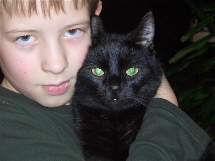 Huskat pjevs (jevs) - er jeg ikke flot? billede 4