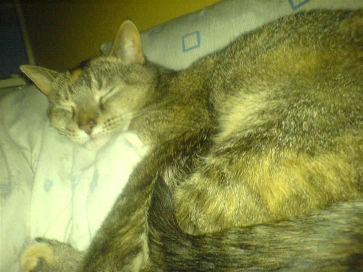 Huskat mille billede 4