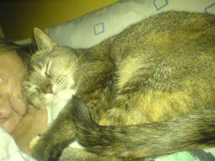 Huskat mille billede 5