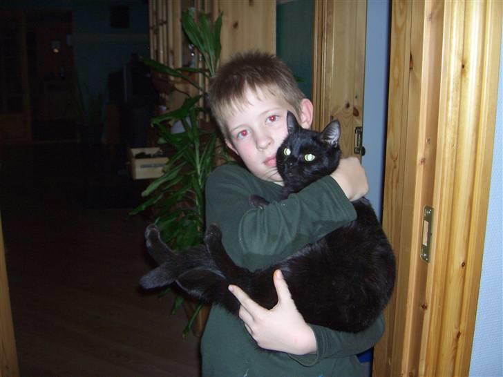 Huskat pjevs (jevs) - Ja du holder vist af mig mathias billede 5