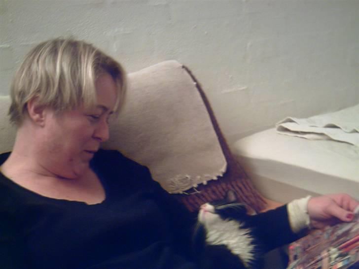 Blanding af racer Fluffy R.I.P billede 2