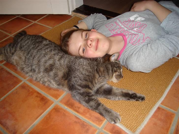 Huskat Gråmis (oude) - her er jeg så sammen med min lille mis igen xD billede 6