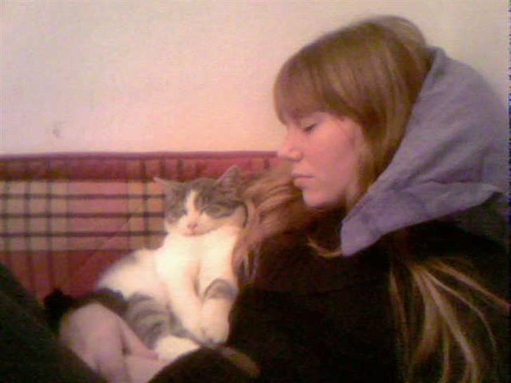 Huskat Miss Cuty Pie - ligger og putter med mor... billede 7