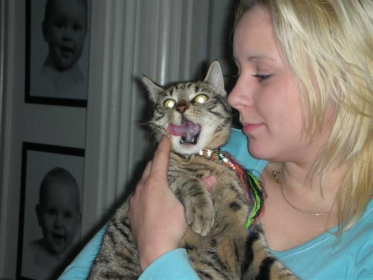 Huskat Bebe - min meget stolt mor, og jeg slikker mig lige om munden :P billede 2