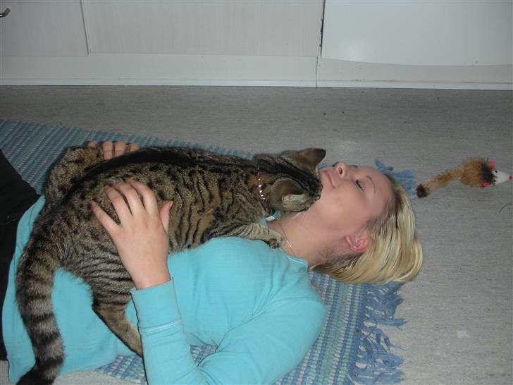 Huskat Bebe - Har saaaaavnet min mor imen hun var ude ved hesten!! billede 3