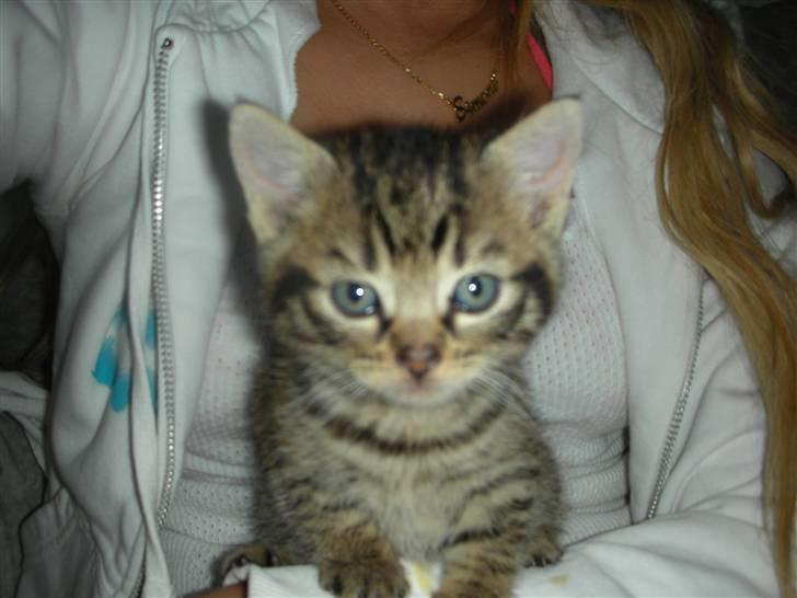 Huskat Bebe - smiil =) Anden gang min mor var og se mig billede 8