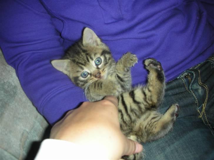 Huskat Bebe - Her ligger jeg ved onkel Mille =) anden gang min mor kom for at besøge mig billede 10