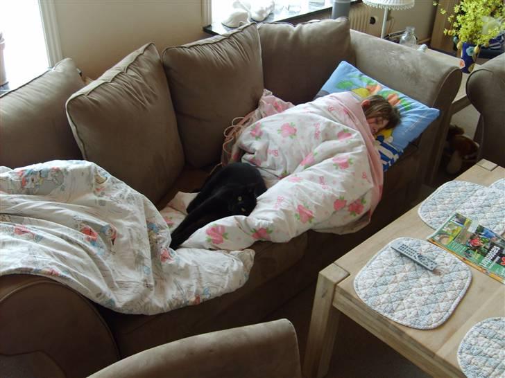 Huskat Rasmus billede 11