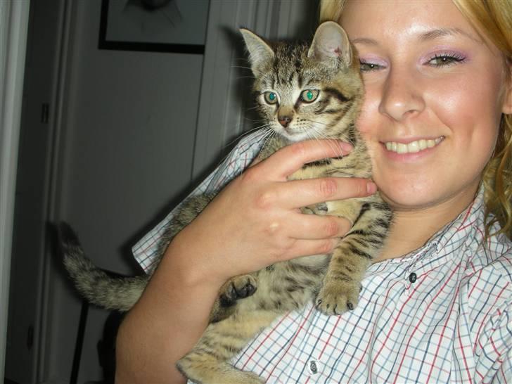 Huskat Bebe billede 12