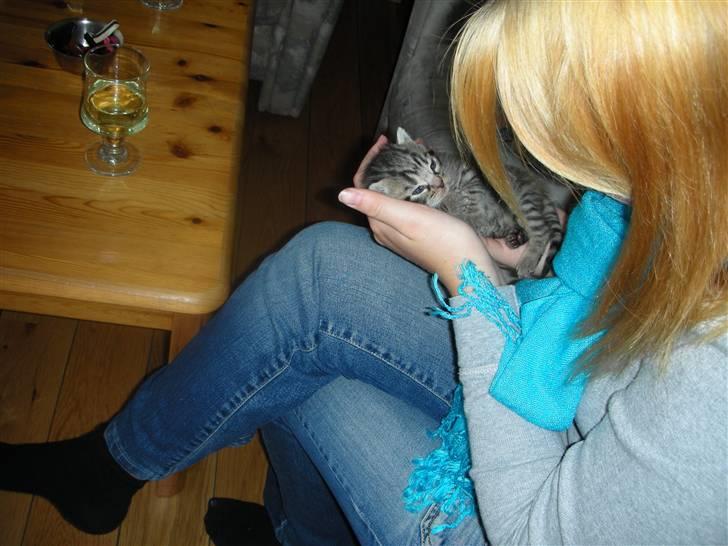 Huskat Bebe billede 13