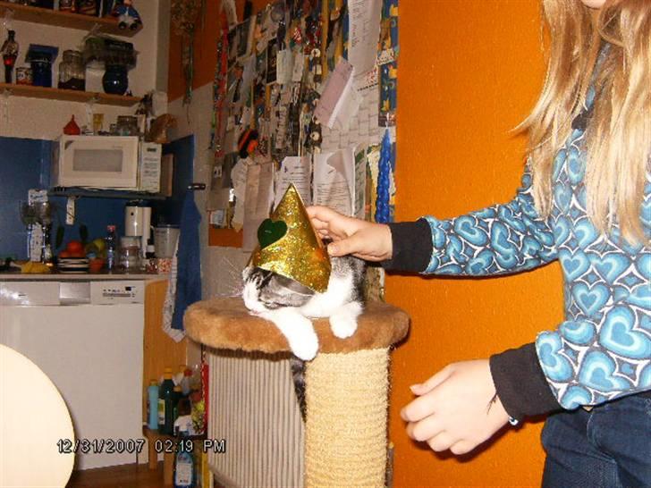 Blanding af racer Tjalfe <3 billede 15