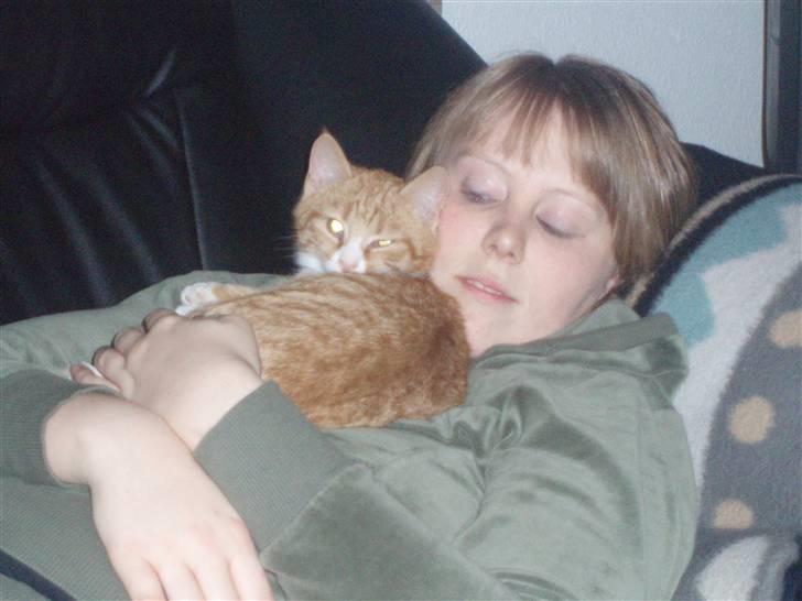 Huskat Power (Putte) billede 3