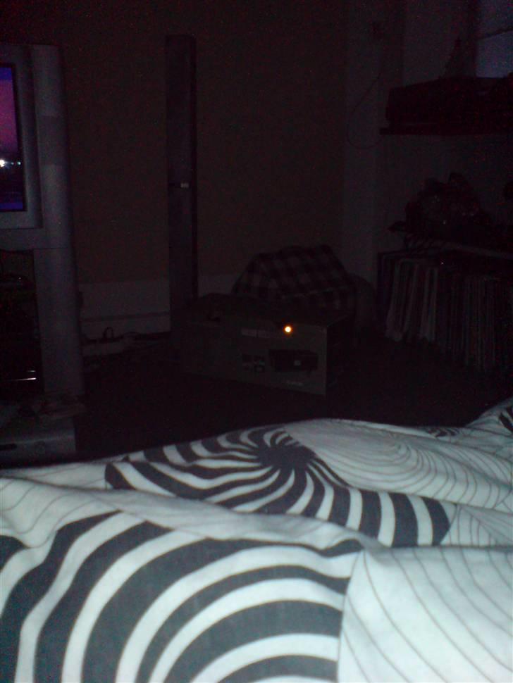 Huskat simba - hvis du kigger godt efter kan du se sembas øje inde i hans elskede kasse, han er klar til at lege :O) billede 17