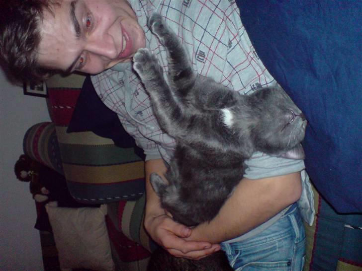 Huskat Fergie  billede 4