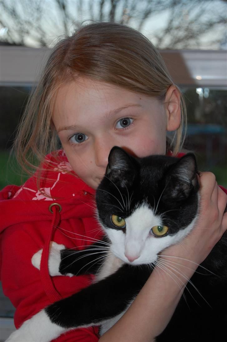 Huskat Sir. Montgomery - Våres "Blærede" julebilled :) billede 7