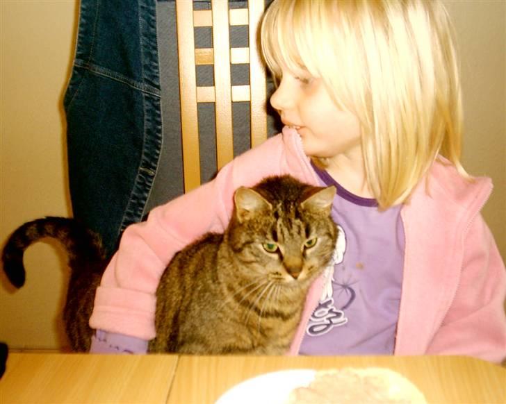 Huskat Miver ¤Himmel missen¤ billede 3