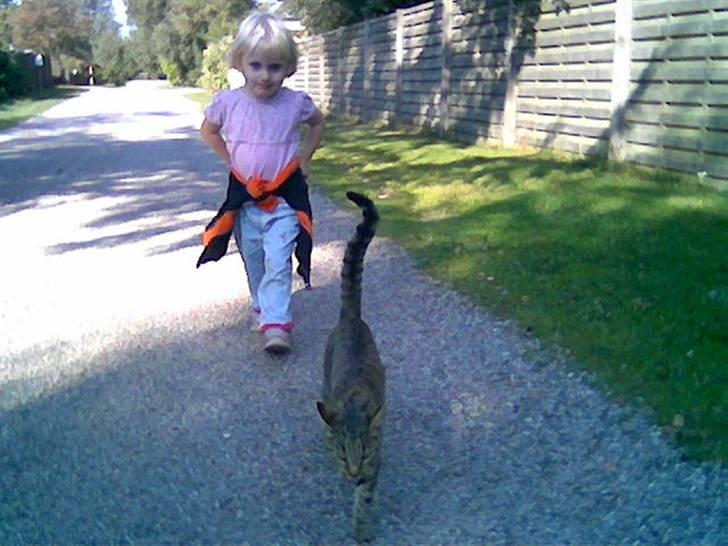 Huskat Miver ¤Himmel missen¤ billede 8