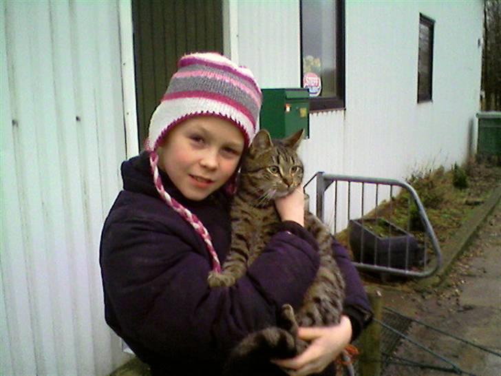 Blanding af racer Strit - Nårrr Emma og strit er så søde. selvom strit hvis hellere vil på musse jagt. billede 2