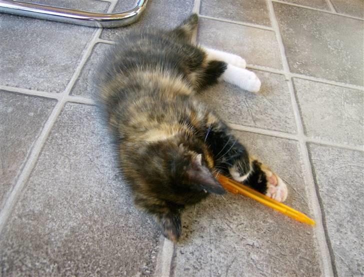 Blanding af racer Mini R.I.P :'( - Jeg elsker den kugle pen... billede 3