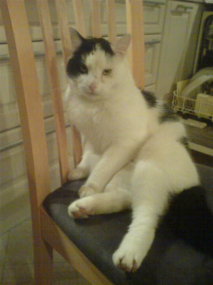 Huskat misser - er jeg ikke dygtig :D billede 3