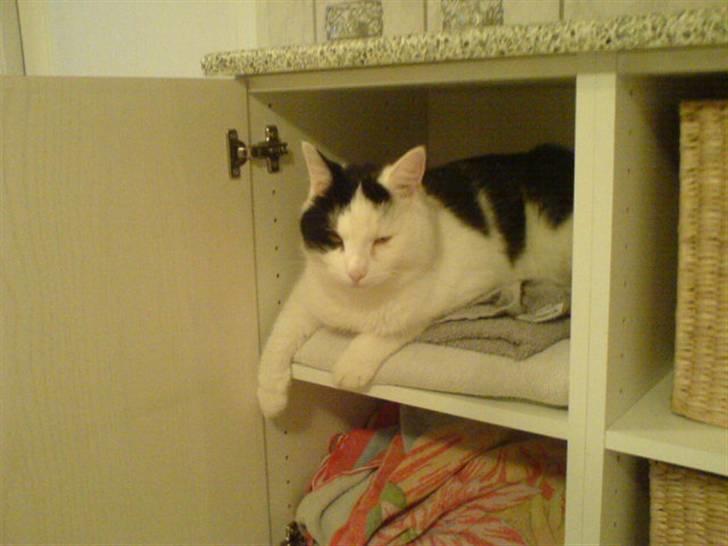 Huskat misser - her ligger man faktisk ret godt :D billede 6