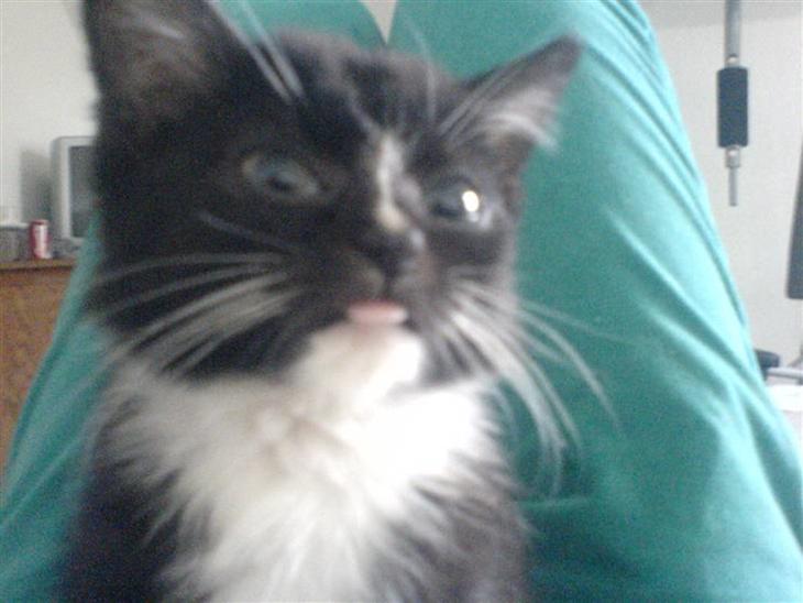 {{currentPhoto.altText}} billede {{currentPhoto.number}}