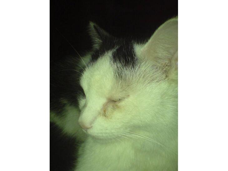 {{currentPhoto.altText}} billede {{currentPhoto.number}}