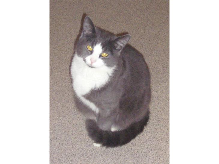 {{currentPhoto.altText}} billede {{currentPhoto.number}}