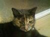 Huskat Piv >>--(¯`v´¯)-> 