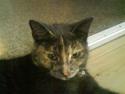 Huskat Piv >>--(¯`v´¯)->