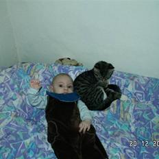 Blanding af racer Pjuske