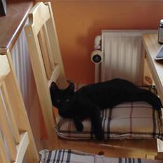 Blanding af racer Cassic