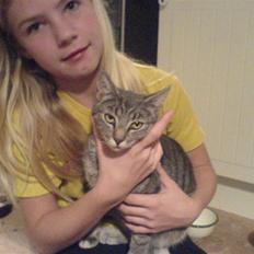 Blanding af racer Lille Mis