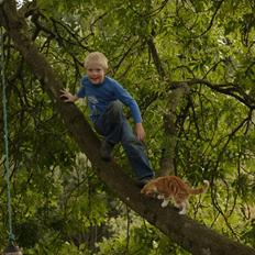 Blanding af racer Nuser R.I.P.