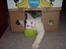 Huskat bulder