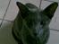 Orientaler Rocky - hehe rocky ;D