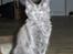 Maine Coon Samba Magic - Samba bliver flashet