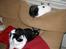 Huskat Bones ( Bette Nuller) - Missehygge .