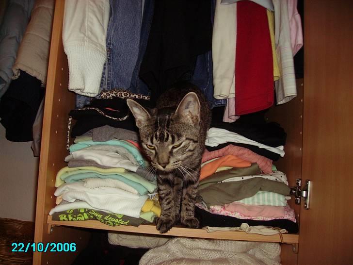 Huskat Nikita - Hov jeg faldte vist i søvn, hvor er jeg :P billede 9