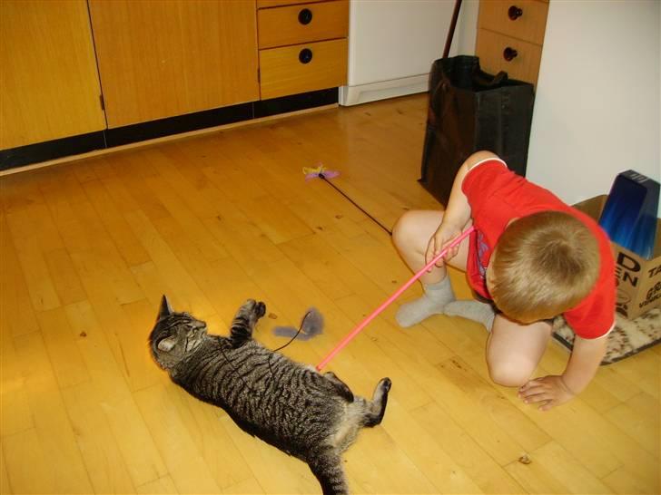 Huskat Nikita - Skal vi lege nu???? billede 13