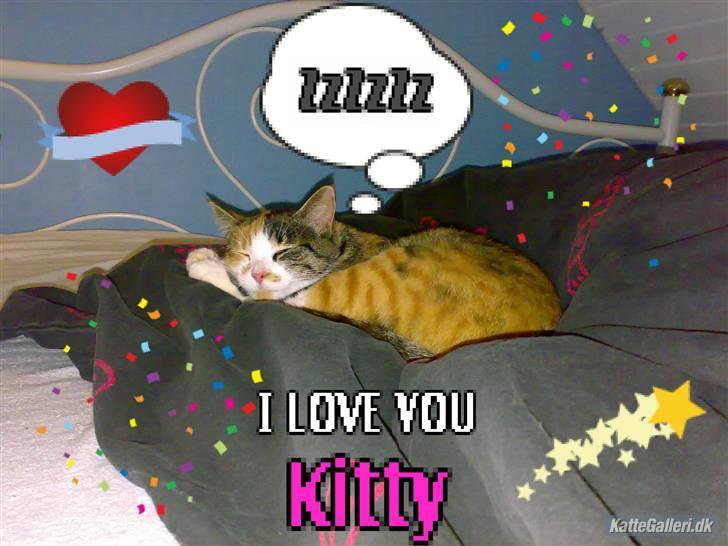 Huskat Kitty - Undskyld al det der skrammel, men jeg kedet mig EKSTREMT, og har vidst slettet originalbilledet. (Men okay, det taler for sig selv xD) Novemer 07 billede 2