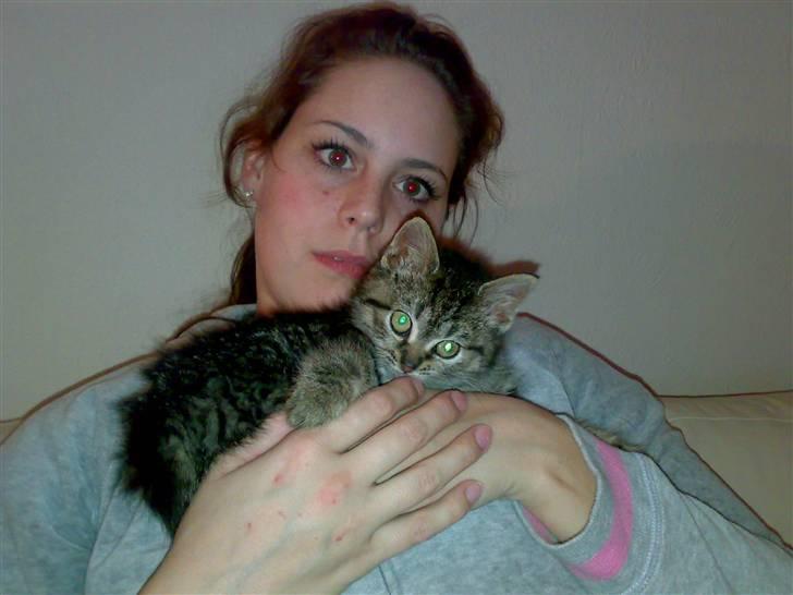 Blanding af racer ''Hugh Hefner'' billede 20