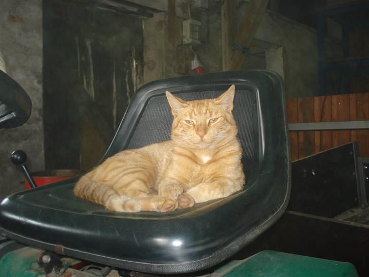 Huskat Missedreng - Slapper af på far´s have traktor billede 3