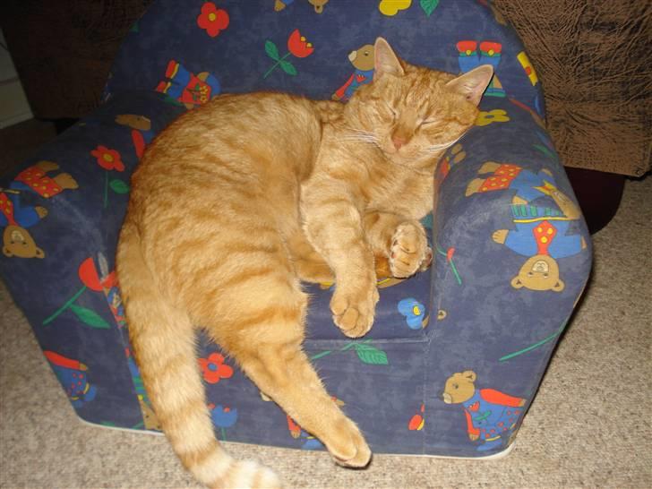 Huskat Missedreng - ZZZzzz i Lykke´s stol billede 4