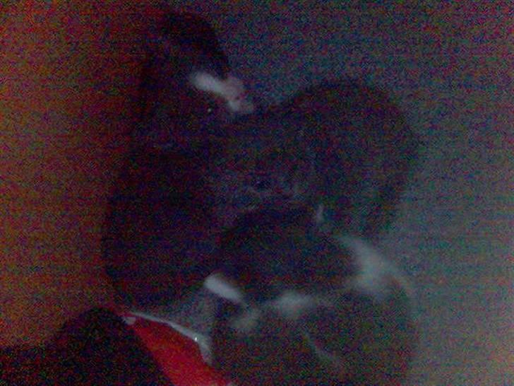 Huskat speedy hjælp mig hjem - 2 uge billede 6