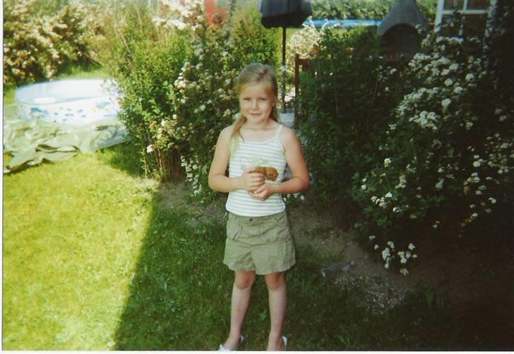 Blanding af racer tot <33  - MIN LILLE SØS OG TOTTE LINE  billede 3