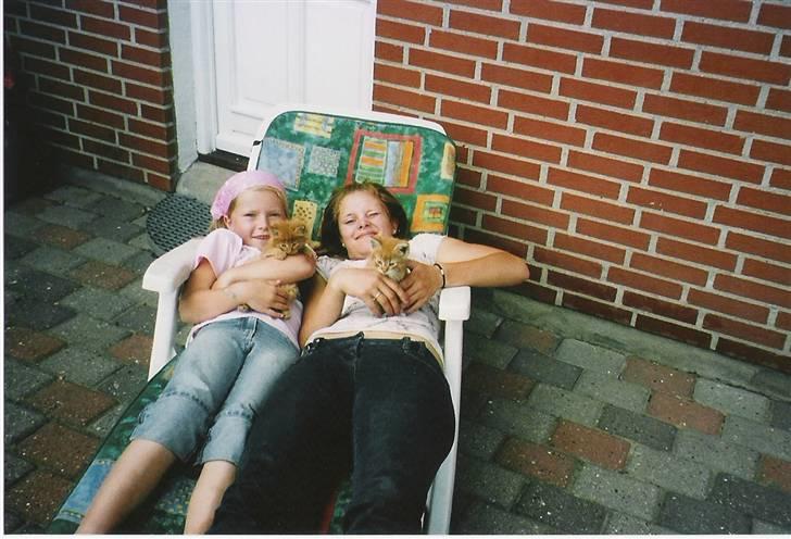 Blanding af racer tot <33  - migg og amalie og knold og totte line  billede 4