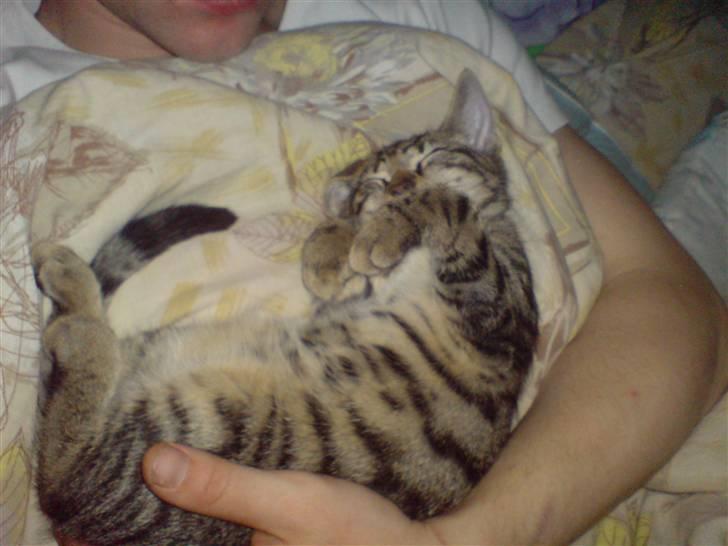 Huskat TARZAN aka HANTUZH+ - mig og min bedste ven billede 8