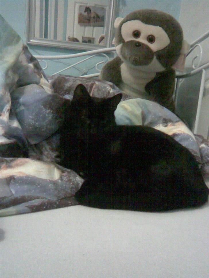 Blanding af racer Tarzan <3 min stjerne billede 10