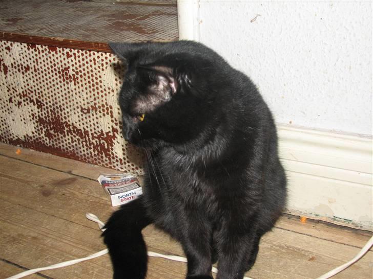 Huskat Sorteper billede 5